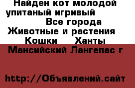 Найден кот,молодой упитаный игривый 12.03.2017 - Все города Животные и растения » Кошки   . Ханты-Мансийский,Лангепас г.